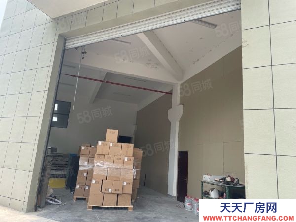南京市潥水县永阳全新多层8000平2和3楼每层2000平层高4.5米