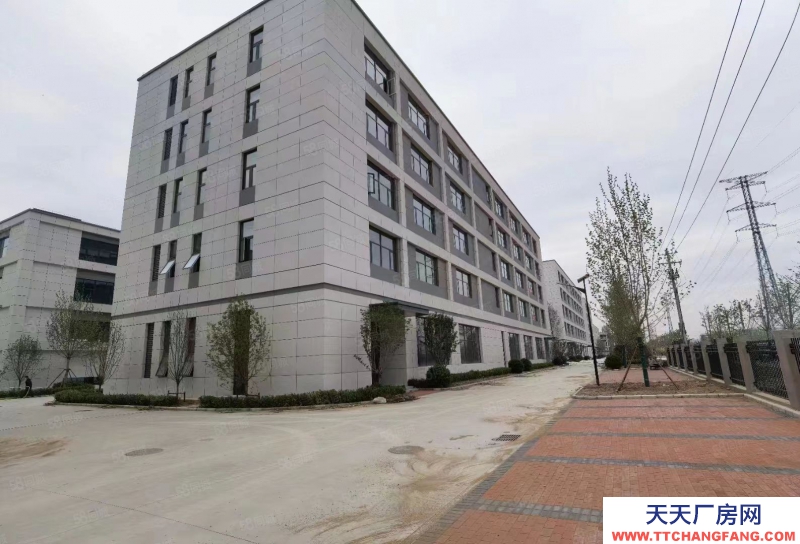 石家庄 藁城 东三环独栋3层厂房出售 研发生产办公 2500平可贷款大跳高