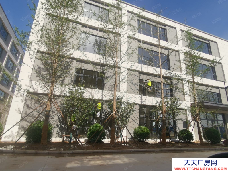 石家庄 藁城 东三环独栋3层厂房出售 研发生产办公 2500平可贷款大跳高