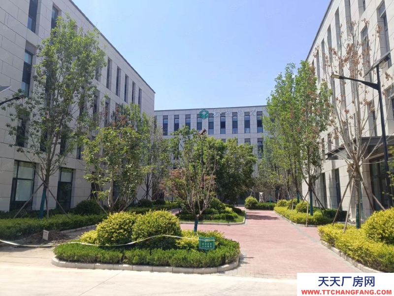 石家庄 藁城 特价厂房现房出售！经济开发区独栋厂房，证件齐全有环评