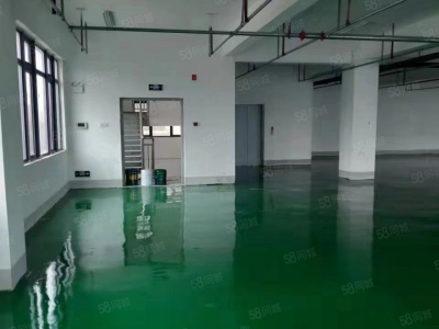 (出租) 合肥瑶海新站区全新厂房环氧地面2500平400平起租图1
