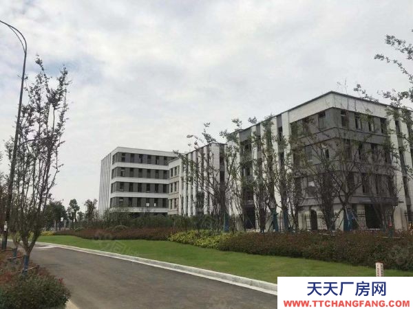 南京市溧水永阳核心区 50年产权厂房 600平起