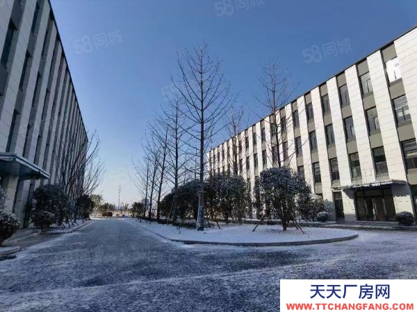 南京市溧水永阳核心区 50年产权厂房 600平起