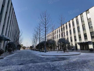 南京市溧水永阳核心区 50年产权厂房 600平起图3