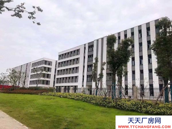 南京市溧水永阳核心区 50年产权厂房 600平起