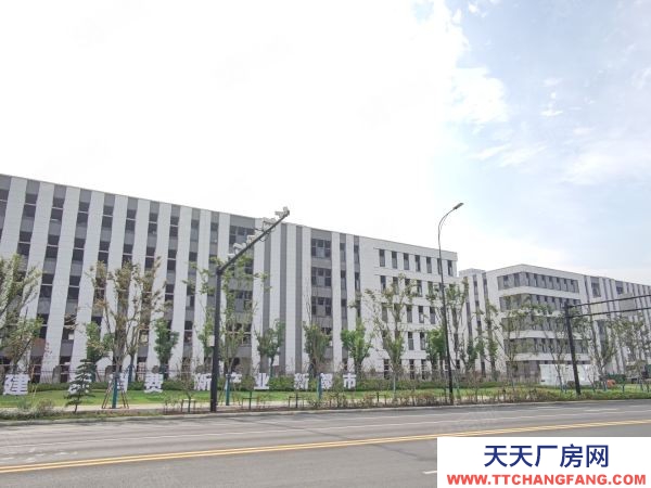 南京市溧水永阳核心区 50年产权厂房 600平起