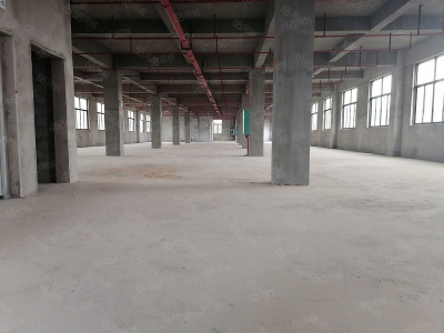 南宁市西乡塘区(出租) 全新标准厂房仓库，500平起，可租可售，有一楼！有补贴图1