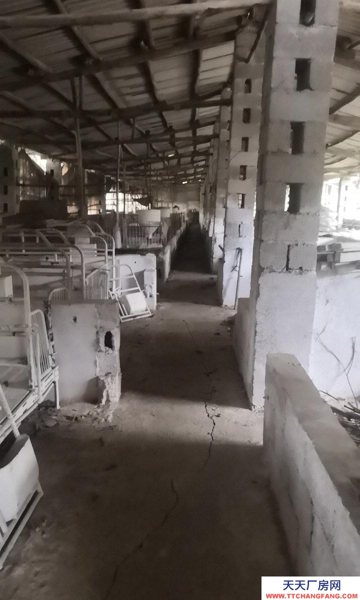 南宁市西乡塘区(出租) 养殖场可养狗牛猪鸡羊