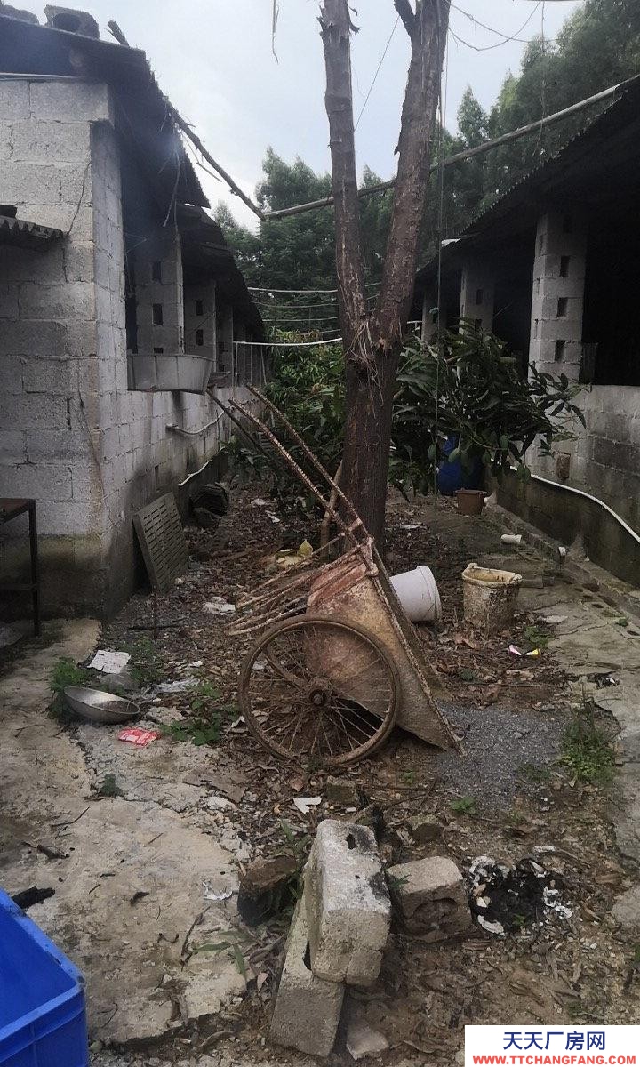 南宁市西乡塘区(出租) 养殖场可养狗牛猪鸡羊
