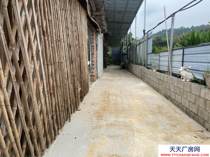 南宁市西乡塘区相思湖新区100到200平米厂房或仓库低价出租