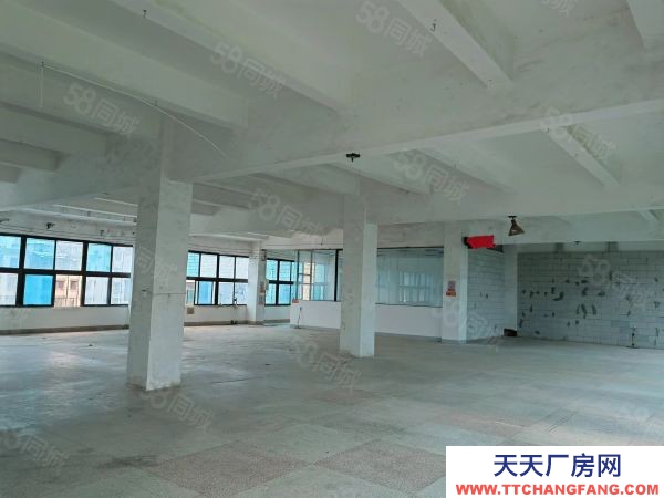 长沙市芙蓉区 马王堆260一540平米仓储办公优价出租