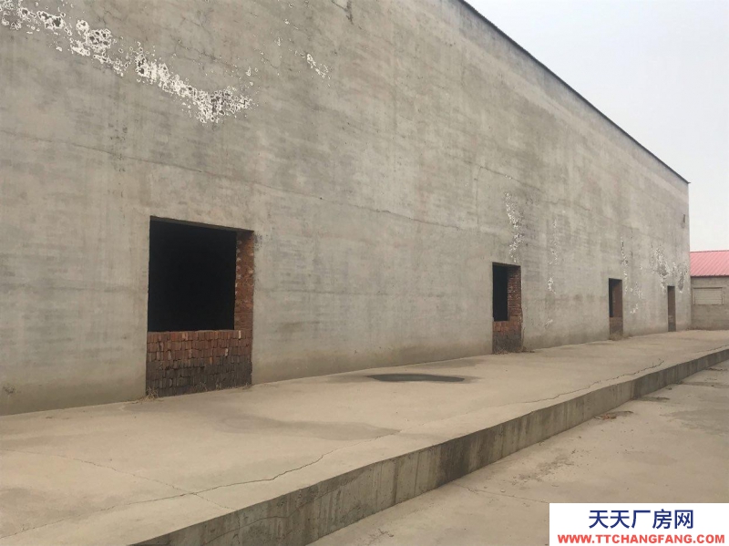 石家庄 晋州 大型库房，可以做厂房