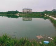 (出租) 宜昌夷陵鸦鹊岭小鸦路边地块出租 厂房 仓库 农家乐 垂钓