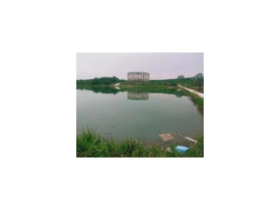 (出租) 宜昌夷陵鸦鹊岭小鸦路边地块出租 厂房 仓库 农家乐 垂钓图2