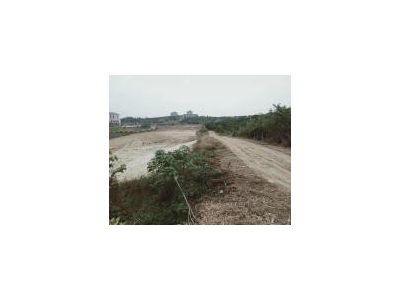 (出租) 宜昌夷陵鸦鹊岭小鸦路边地块出租 厂房 仓库 农家乐 垂钓图4