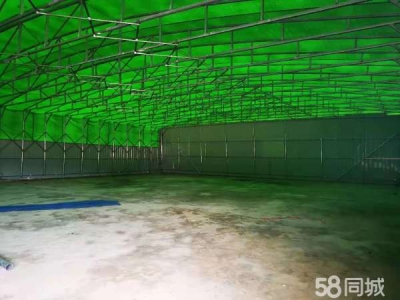 长沙市芙蓉区农科院220/600/500平方仓库图2