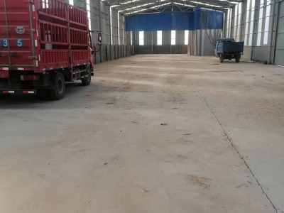 石家庄 新乐 水泥彩钢厂房6米高，有水电可走大车。图2
