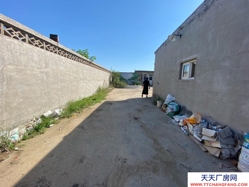 石家庄 新乐  厂房租赁，可接三箱电