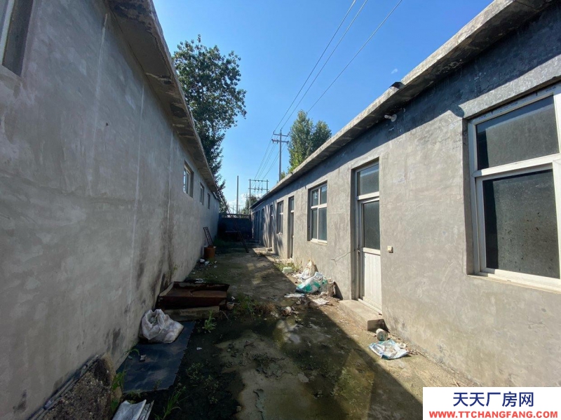 石家庄 新乐  厂房租赁，可接三箱电