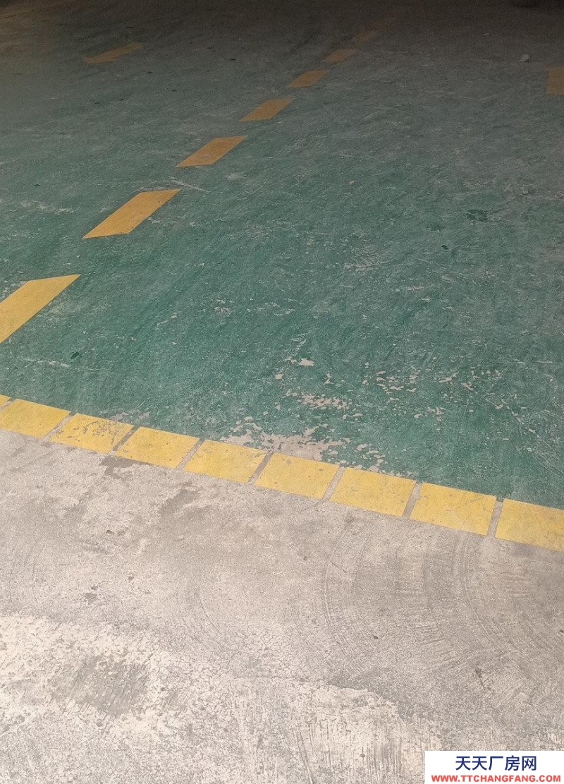 南宁市西乡塘区(出租) 求合租伙伴，有意者，价格面积面谈