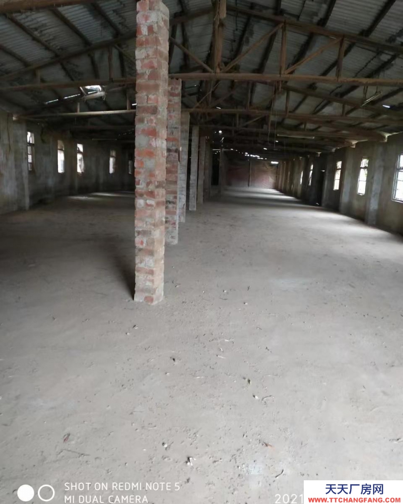 南宁市西乡塘区(出租) 水电齐全，环境祥和，三相电
