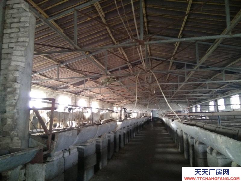 青岛平度李园 乐义基地 养殖场 出售