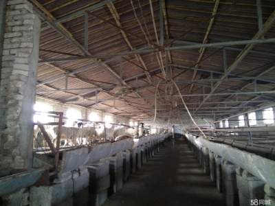 青岛平度李园 乐义基地 养殖场 出售图1