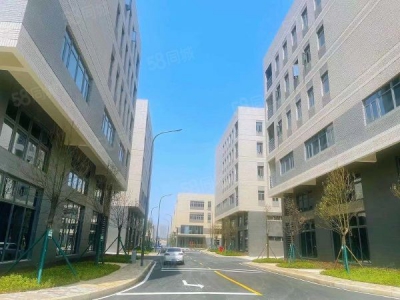 长沙市望城区 花园办公独栋 赠送露台院子 研发办公组装图1
