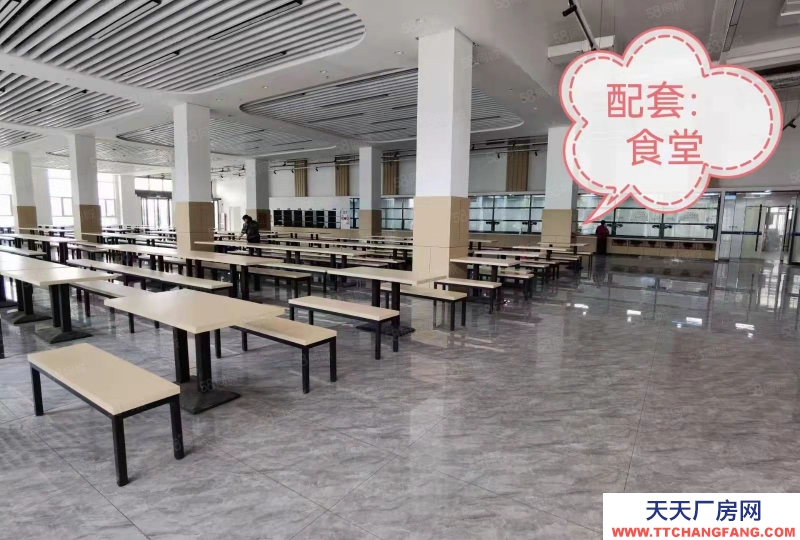 石家庄 鹿泉 独栋厂房，承载企业总部，高铁，高速，南三环，主干道沿线