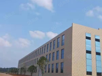 长沙市宁乡区 整租分租单层11米5000平独栋厂房图4