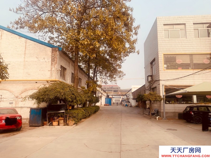 保定 出租或出售市一中附近厂房土地！