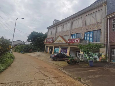 长沙市宁乡区 整栋大型厂房仓库办公，场地出租出售图2