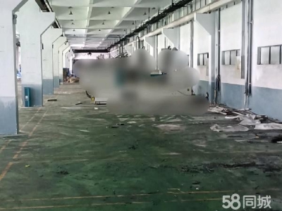 长沙市宁乡区 高新区60亩工业用地5万平米建筑整体出售图2