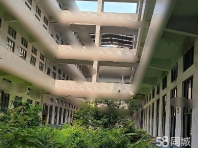 长沙市宁乡区 高新区60亩工业用地5万平米建筑整体出售图1