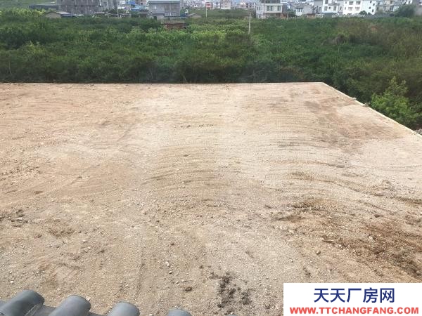 (出租) 面积大 整齐 交通便利