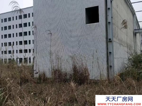 长沙市宁乡区 28.8亩带厂房工业用地出售