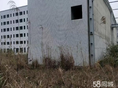长沙市宁乡区 28.8亩带厂房工业用地出售图3