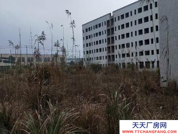 长沙市宁乡区 28.8亩带厂房工业用地出售