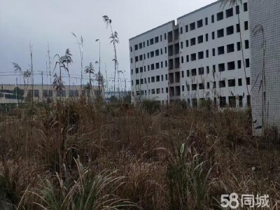 长沙市宁乡区 28.8亩带厂房工业用地出售图2