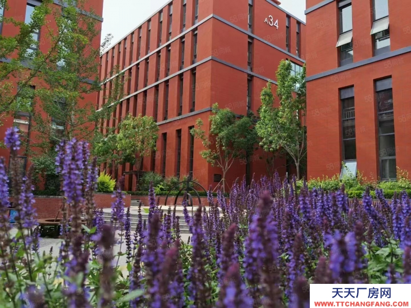 保定 涿州高速旁现房 50年产权 可生产组装仓储 面积全