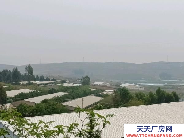 (出租) 大型标准化养猪场出租