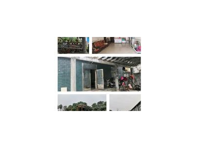(出售) 宜昌枝江降价啦，降价啦，急售问安镇临街商铺+住宅+厂房+良田+鱼塘图3