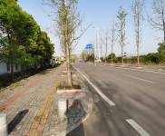 (出售)宜昌枝江 省道旁占地25亩，建筑面积3000方，适合养殖改建仓库厂房等