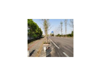 (出售)宜昌枝江 省道旁占地25亩，建筑面积3000方，适合养殖改建仓库厂房等图3