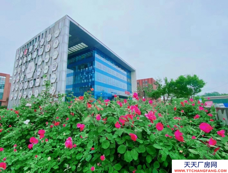 保定 涿州航站楼周边现房 业态宽松 可环评 可租可买 有房本
