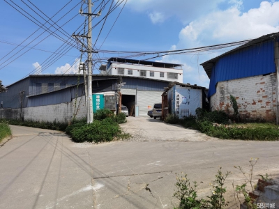 南宁市西乡塘区(出租) 连畴村三队厂房出租面积700平方图2