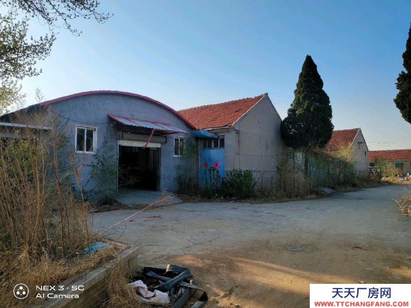青岛平度院子12亩，仓库3000平