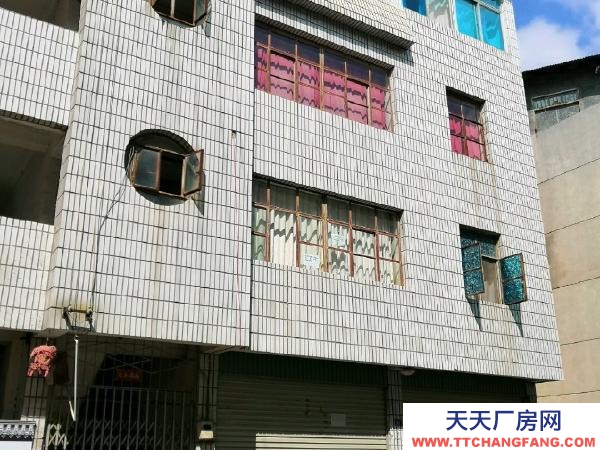 (出租) 蒙自市老寨乡中坝村冷库出租/出售，面积3000平米红河蒙自