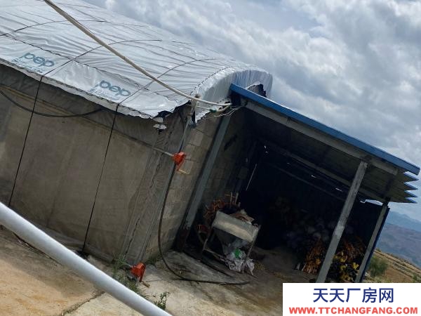 (出租) 红河自己养鸡，了，交通水电都方便，周边无污染环境