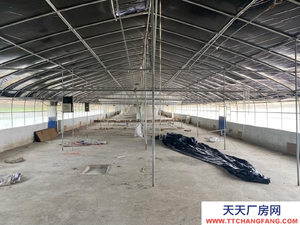 (出租) 红河自己养鸡，了，交通水电都方便，周边无污染环境